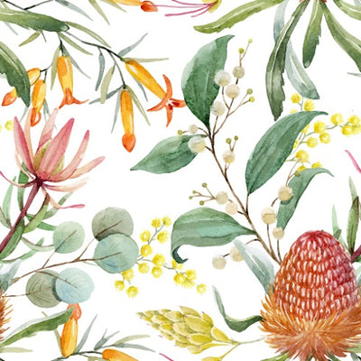 Banksia Flower wallpaper