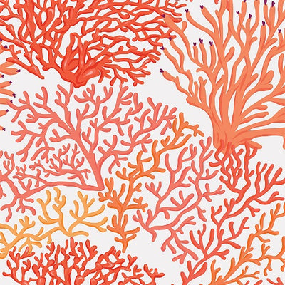 Coral removable wallpaper