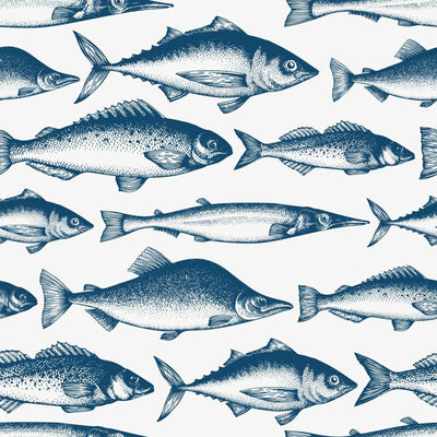 Quirky Blue Fish Removable Wallpaper Swatch