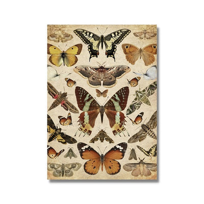 Butterflies and Moths Poster Art