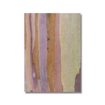 Colourful Gum Tree Bark Printed Poster