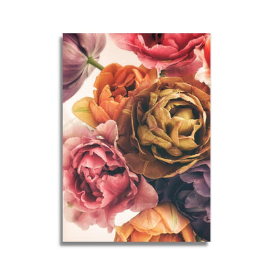 Colourful Peonies Poster Print