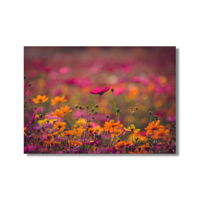 flowers in the field poster print