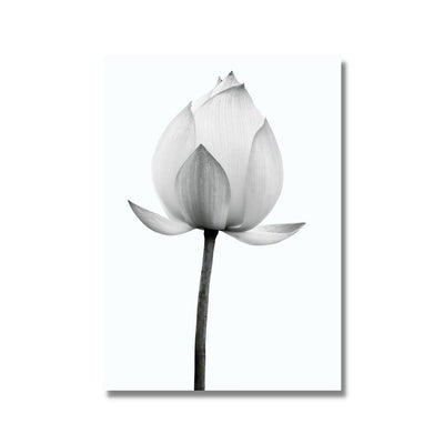 Lotus Flower Poster Print