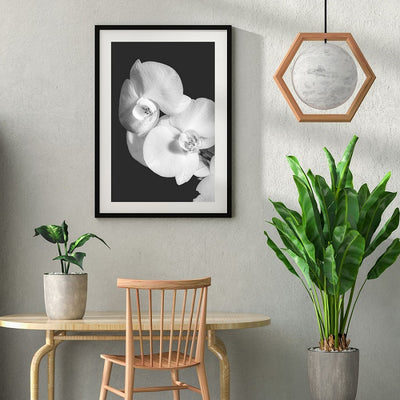 Black and white orchid image poster print