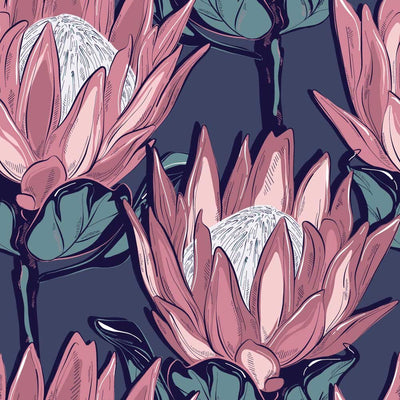 Pink Proteas Removable Wallpaper Swatch