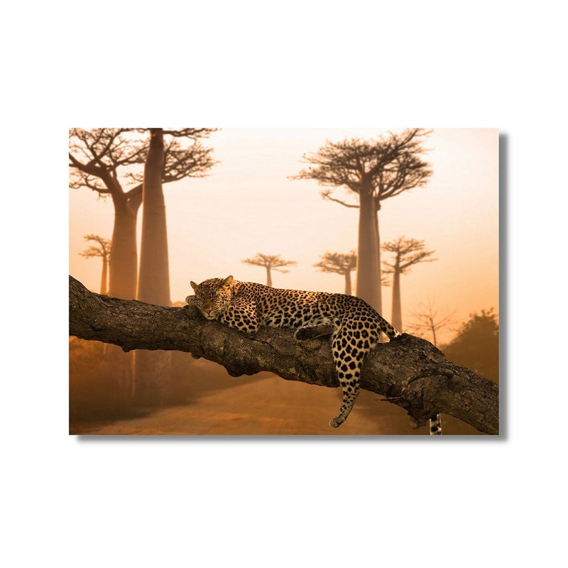 Sleeping Leopard Print