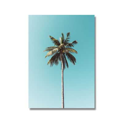 Tropical Palm Poster